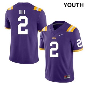 Youth Destyn Hill Purple LSU Tigers #2 College Football Replica Jersey 838074-185