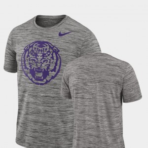 Men Charcoal LSU Tigers 2018 Player Travel Legend Performance T-Shirt 330474-458